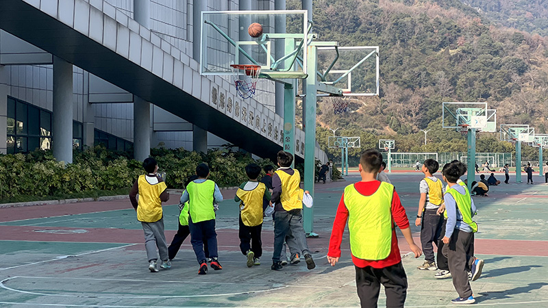 1768293535201377.jpg 6.jpg