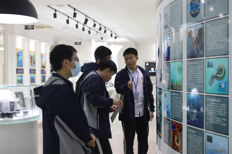 民乐、灯谜、刺绣、理财……一大波选修课又来了