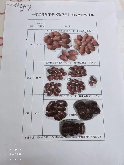 豆子大百科手抄报图片