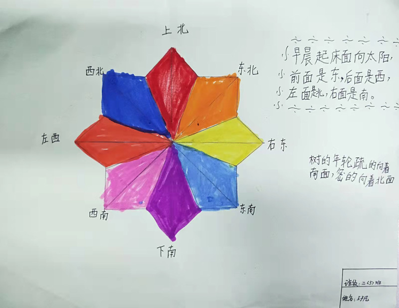 三年级科学方向盘制作图片