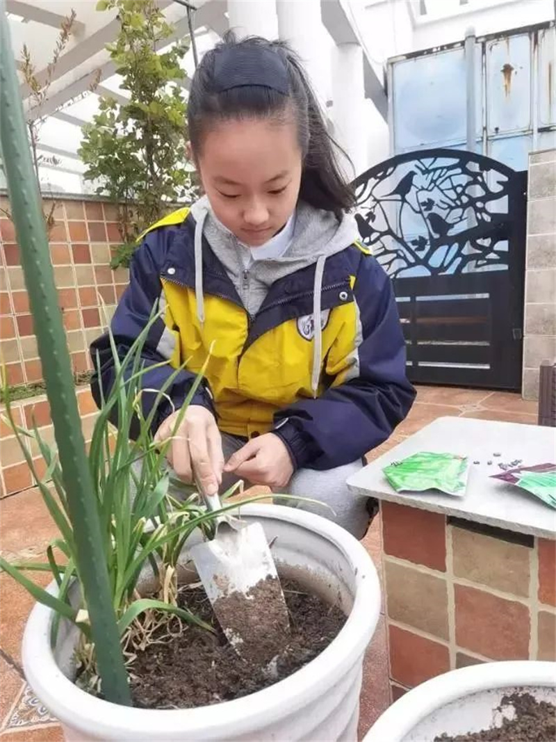慎终追远,缅怀先祖,常怀感恩