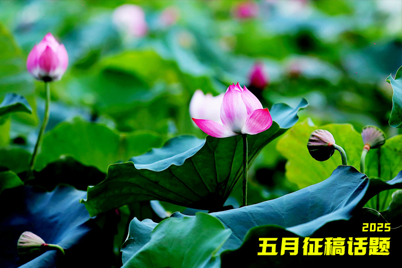 廰.jpg