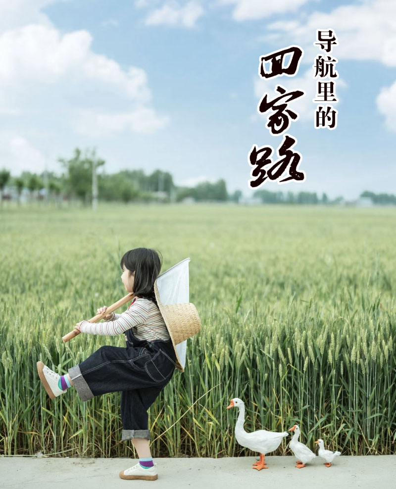 1777773836285194.jpg 5版主图-.jpg