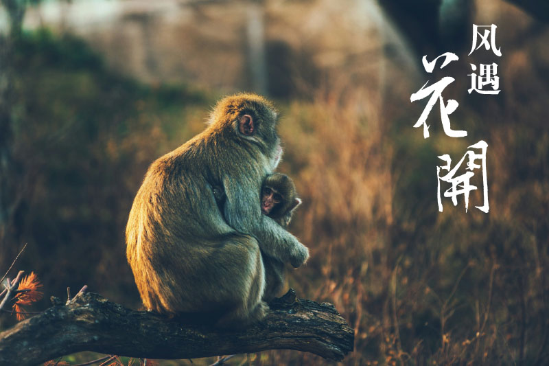 1777773858184189.jpg 6版主图2.jpg
